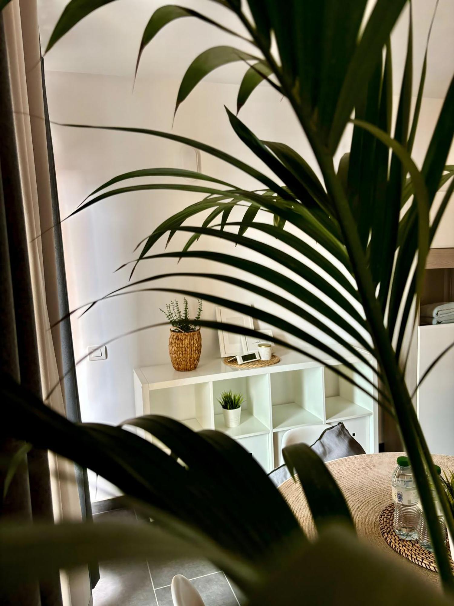 Marina Suites Tenerife 푸에르토 드 라 크루즈 외부 사진