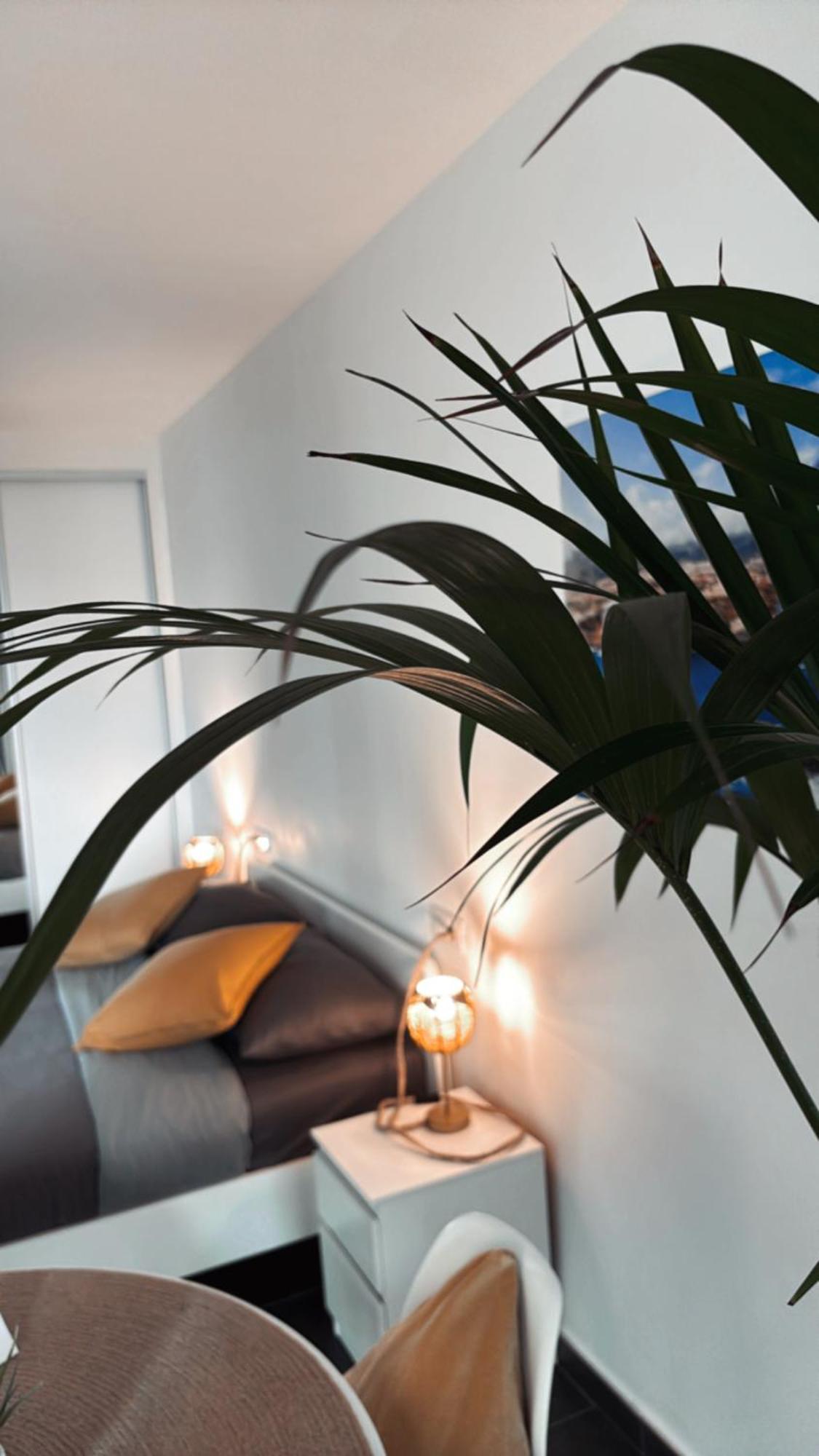 Marina Suites Tenerife 푸에르토 드 라 크루즈 외부 사진